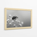 Insecto primaveral - DIEGO D L | Cuadro decorativo de Canvas Lab