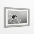Insecto primaveral - DIEGO D L | Cuadro decorativo de Canvas Lab