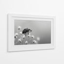 Insecto primaveral - DIEGO D L | Cuadro decorativo de Canvas Lab