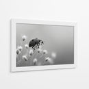 Insecto primaveral - DIEGO D L | Cuadro decorativo de Canvas Lab