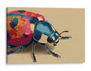 Puntos de insecto - DIEGO D L | Cuadro decorativo de Canvas Lab