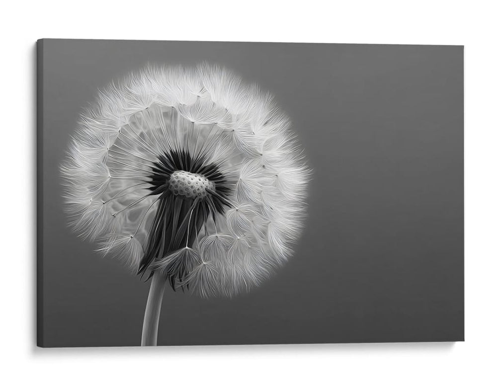 Florecer - DIEGO D L | Cuadro decorativo de Canvas Lab
