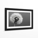 Florecer - DIEGO D L | Cuadro decorativo de Canvas Lab