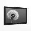 Florecer - DIEGO D L | Cuadro decorativo de Canvas Lab