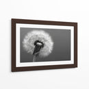 Florecer - DIEGO D L | Cuadro decorativo de Canvas Lab