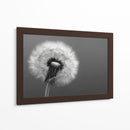 Florecer - DIEGO D L | Cuadro decorativo de Canvas Lab