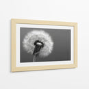 Florecer - DIEGO D L | Cuadro decorativo de Canvas Lab