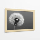 Florecer - DIEGO D L | Cuadro decorativo de Canvas Lab