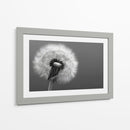 Florecer - DIEGO D L | Cuadro decorativo de Canvas Lab