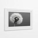 Florecer - DIEGO D L | Cuadro decorativo de Canvas Lab