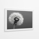 Florecer - DIEGO D L | Cuadro decorativo de Canvas Lab