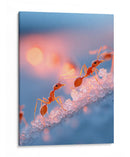 Pequeños pasos - DIEGO D L | Cuadro decorativo de Canvas Lab