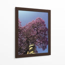 jacaranda - E Ordóñez | Cuadro decorativo de Canvas Lab