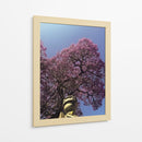 jacaranda - E Ordóñez | Cuadro decorativo de Canvas Lab