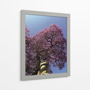 jacaranda - E Ordóñez | Cuadro decorativo de Canvas Lab