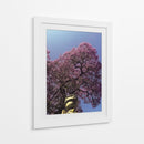 jacaranda - E Ordóñez | Cuadro decorativo de Canvas Lab