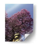 jacaranda - E Ordóñez | Cuadro decorativo de Canvas Lab