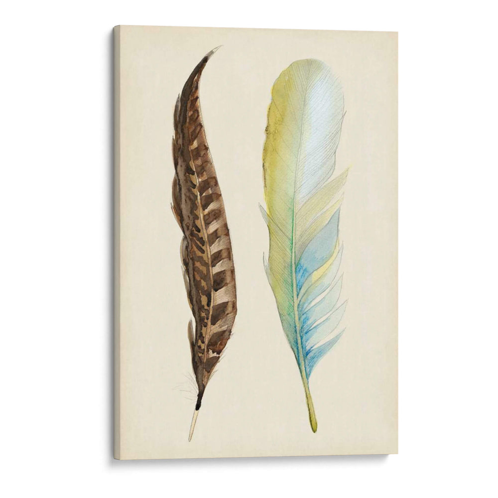 Plumaje Ii - Alicia Ludwig | Cuadro decorativo de Canvas Lab