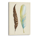 Plumaje Ii - Alicia Ludwig | Cuadro decorativo de Canvas Lab