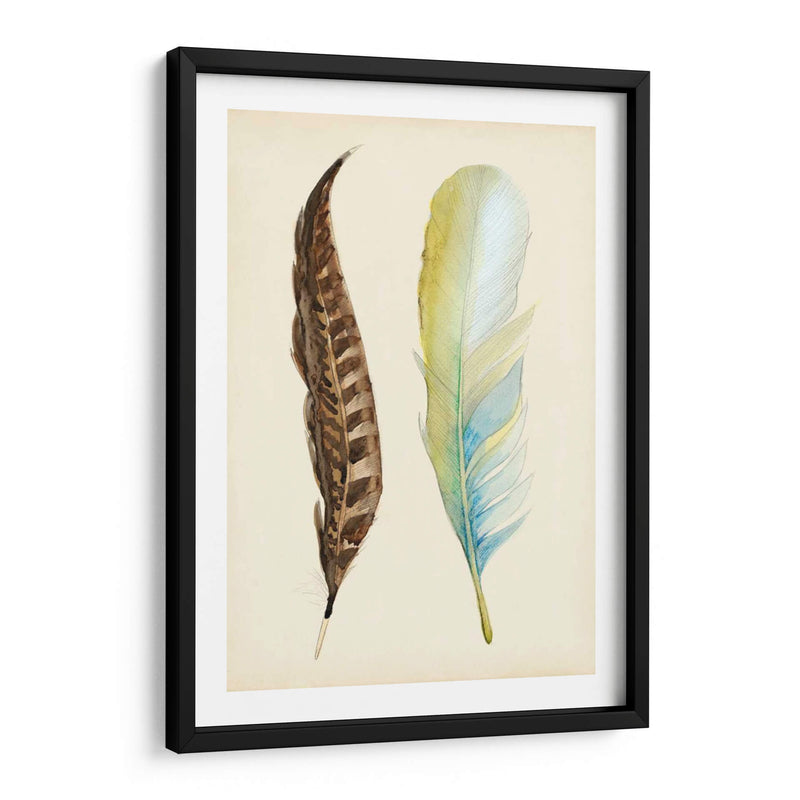 Plumaje Ii - Alicia Ludwig | Cuadro decorativo de Canvas Lab