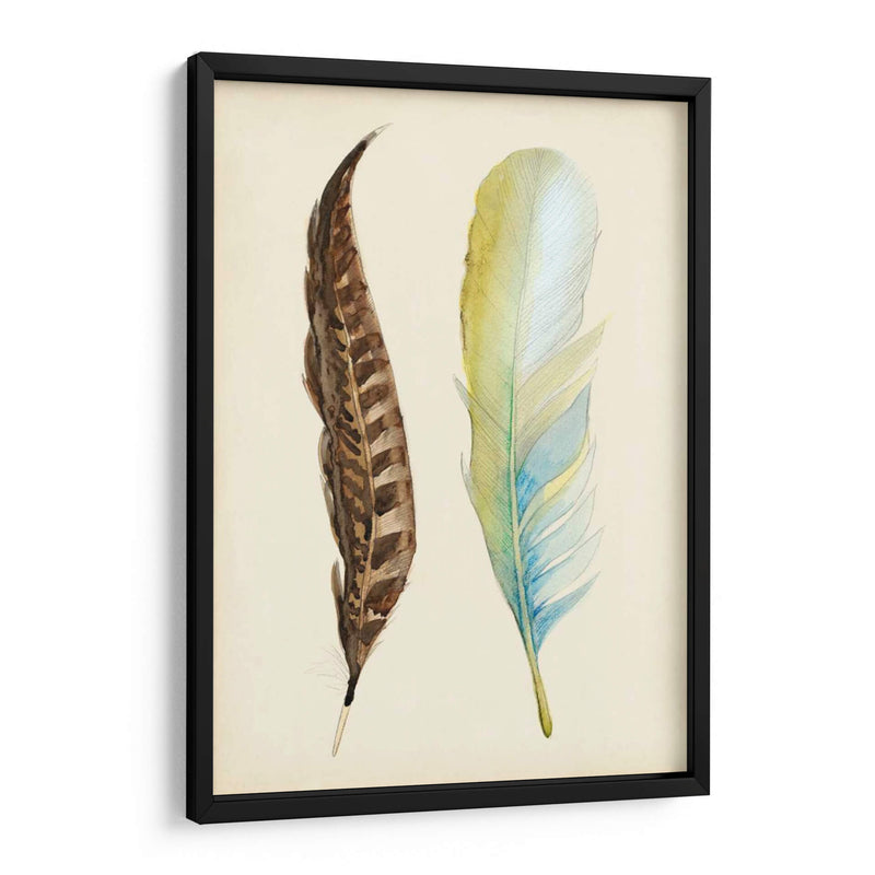 Plumaje Ii - Alicia Ludwig | Cuadro decorativo de Canvas Lab