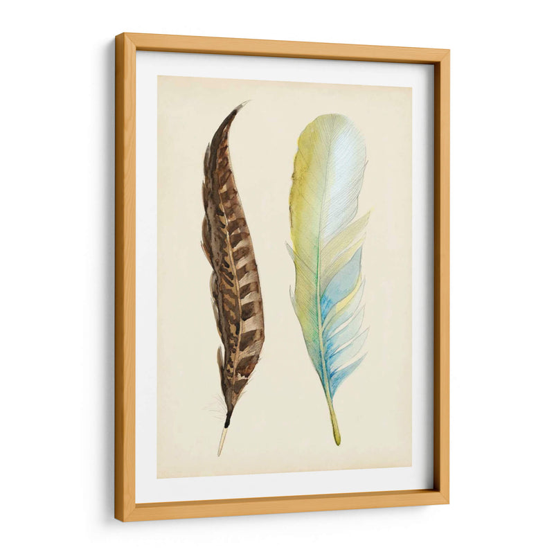 Plumaje Ii - Alicia Ludwig | Cuadro decorativo de Canvas Lab