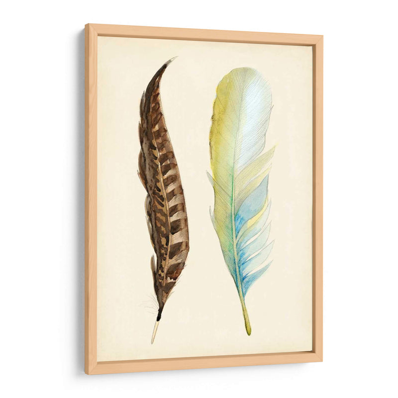 Plumaje Ii - Alicia Ludwig | Cuadro decorativo de Canvas Lab