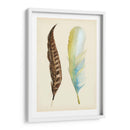 Plumaje Ii - Alicia Ludwig | Cuadro decorativo de Canvas Lab