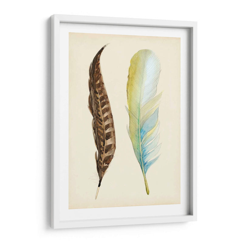 Plumaje Ii - Alicia Ludwig | Cuadro decorativo de Canvas Lab