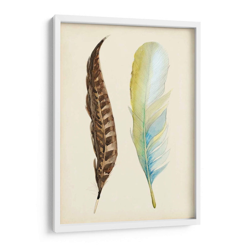 Plumaje Ii - Alicia Ludwig | Cuadro decorativo de Canvas Lab