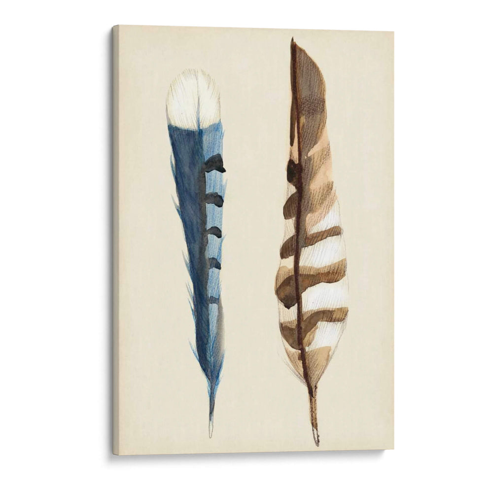 Plumaje Iii - Alicia Ludwig | Cuadro decorativo de Canvas Lab