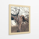 Roto - E Ordóñez | Cuadro decorativo de Canvas Lab