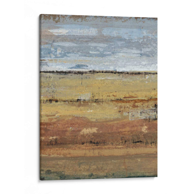 Capas De Campo I - Tim OToole | Cuadro decorativo de Canvas Lab