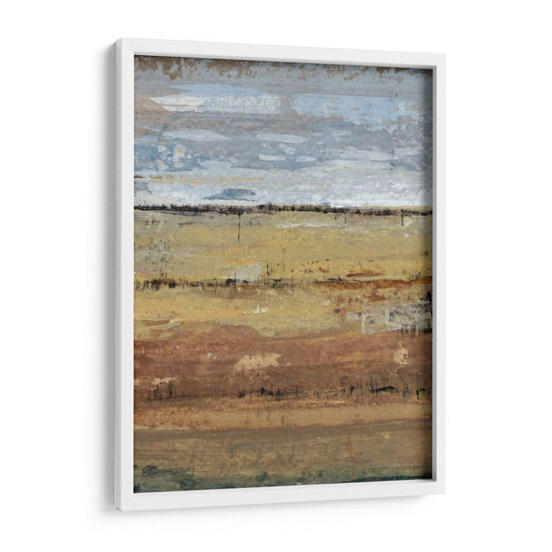 Capas De Campo I - Tim OToole | Cuadro decorativo de Canvas Lab