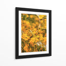 Flores amarillas - E Ordóñez | Cuadro decorativo de Canvas Lab