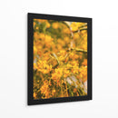 Flores amarillas - E Ordóñez | Cuadro decorativo de Canvas Lab