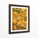 Flores amarillas - E Ordóñez | Cuadro decorativo de Canvas Lab