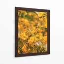 Flores amarillas - E Ordóñez | Cuadro decorativo de Canvas Lab