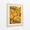 Flores amarillas - E Ordóñez | Cuadro decorativo de Canvas Lab