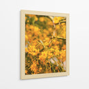 Flores amarillas - E Ordóñez | Cuadro decorativo de Canvas Lab