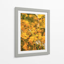 Flores amarillas - E Ordóñez | Cuadro decorativo de Canvas Lab