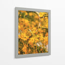 Flores amarillas - E Ordóñez | Cuadro decorativo de Canvas Lab