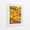 Flores amarillas - E Ordóñez | Cuadro decorativo de Canvas Lab