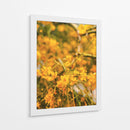 Flores amarillas - E Ordóñez | Cuadro decorativo de Canvas Lab