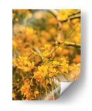 Flores amarillas - E Ordóñez | Cuadro decorativo de Canvas Lab