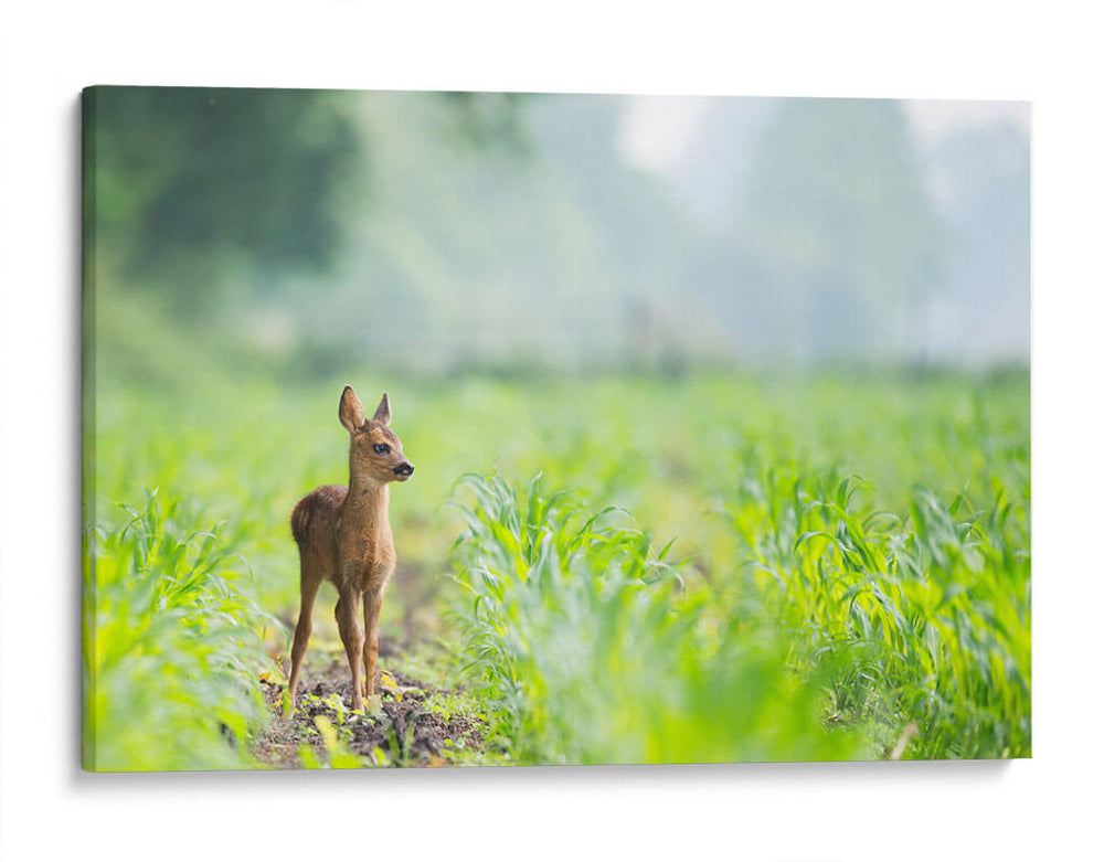 Bambi | Cuadro decorativo de Canvas Lab