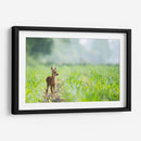 Bambi | Cuadro decorativo de Canvas Lab