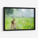 Bambi | Cuadro decorativo de Canvas Lab