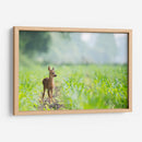 Bambi | Cuadro decorativo de Canvas Lab