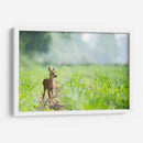 Bambi | Cuadro decorativo de Canvas Lab